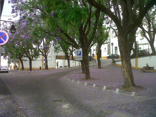 IMG00154 20110529 1319